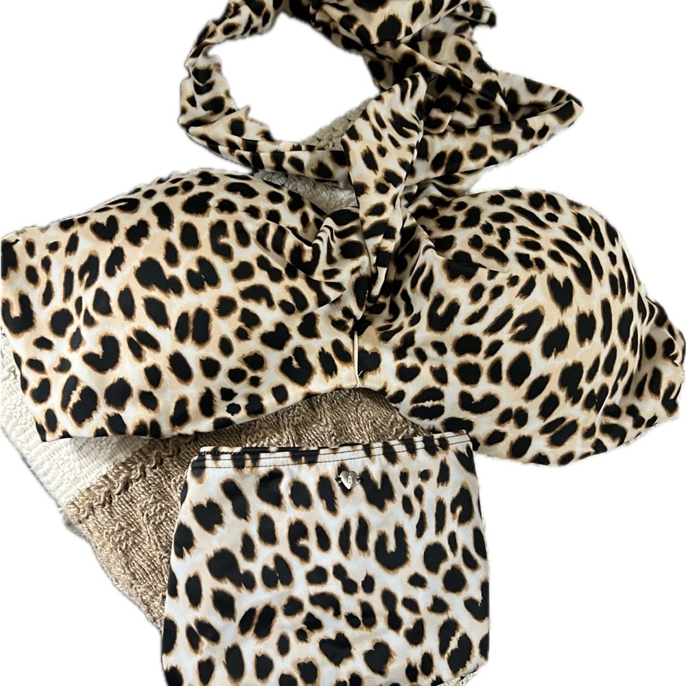 Leopard Print Bikini Top and Bottom Set